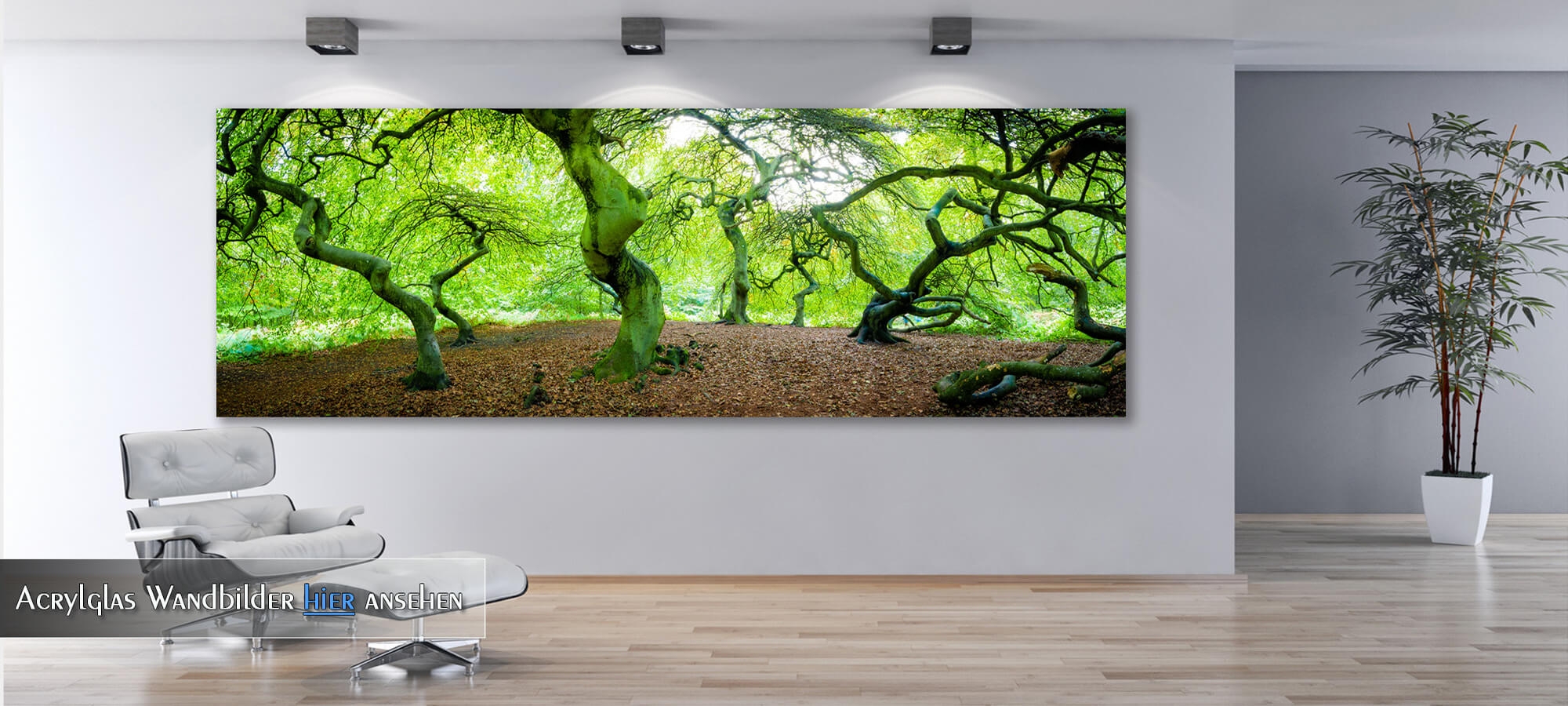 Acrylglas Wandbilder